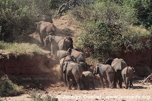 Parc national de Tarangire - Tanzanie