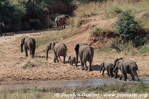 Parc national de Tarangire - Tanzanie