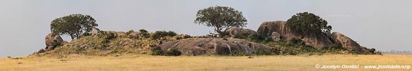 Parc national du Serengeti - Tanzanie