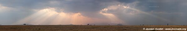 Parc national du Serengeti - Tanzanie