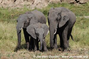 Tarangire National Park - Tanzania