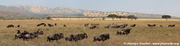 Serengeti National Park - Tanzania