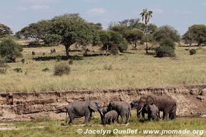 Tarangire National Park - Tanzania