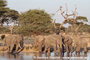 Tarangire National Park - Tanzania