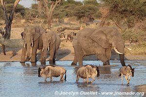 Tarangire National Park - Tanzania