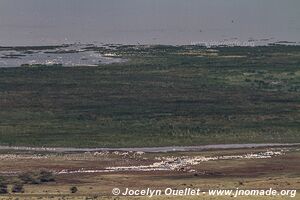 Parc national de Manyara - Tanzanie