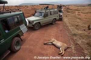 Aire de conservation du Ngorongoro - Tanzanie