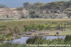 Aire de conservation du Ngorongoro - Tanzanie