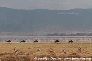 Ngorongoro Conservation Area - Tanzania