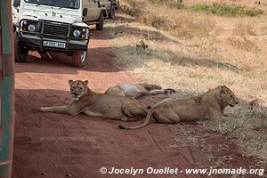 Ngorongoro Conservation Area - Tanzania