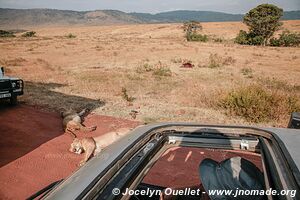 Ngorongoro Conservation Area - Tanzania