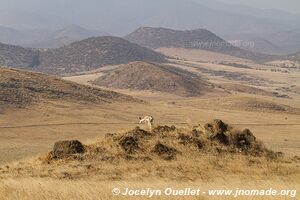 Lake Natron Area - Tanzania