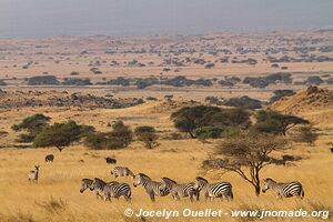 Lake Natron Area - Tanzania