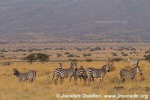 Région du lac Natron - Tanzanie