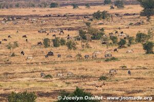 Serengeti National Park - Tanzania