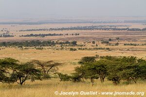 Parc national du Serengeti - Tanzanie