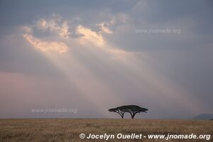 Serengeti National Park - Tanzania