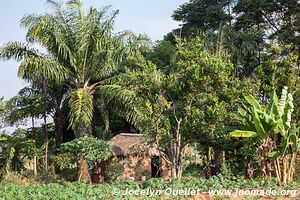 Ukerewe Island - Tanzania