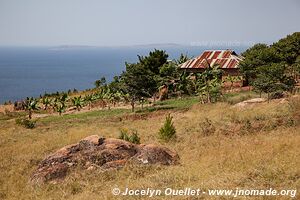 Lac Victoria - Tanzanie