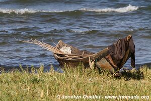 Lake Victoria - Tanzania