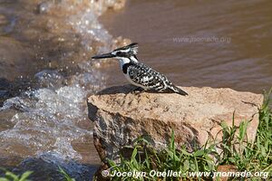 Lake Victoria - Tanzania