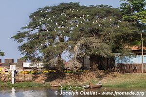 Lake Victoria - Tanzania