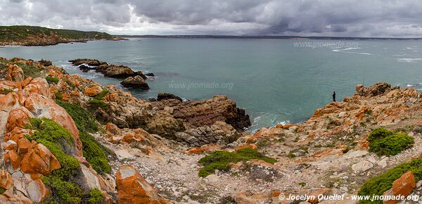 Route de Mossel Bay à Cape Agulhas - Afrique du Sud