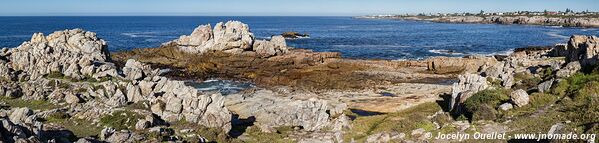 Hermanus - Afrique du Sud