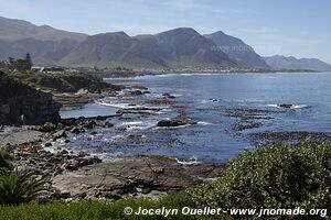 Hermanus - South Africa