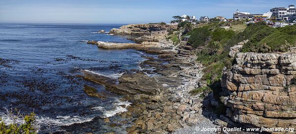 Hermanus - Afrique du Sud