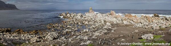 Stony Point - Afrique du Sud