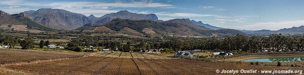 Cape Winelands - Afrique du Sud