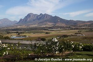 Cape Winelands - Afrique du Sud