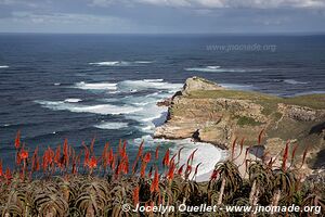 Cape of Good Hope - Cape Town - South Africa