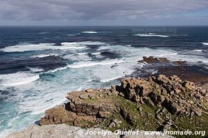 Cape of Good Hope - Cape Town - South Africa