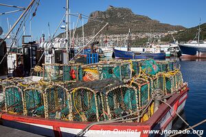 Côte atlantique - Le Cap - Afrique du Sud