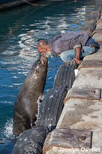 Atlantic Coast - Cape Town - South Africa