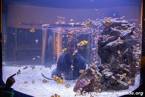 Two Oceans Aquarium - City Bowl - Cape Town - South Africa