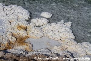 Lake Assal - Djibouti