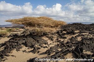 Bay of Ghoubbet - Djibouti