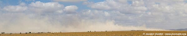 Grand Barra Depression - Djibouti