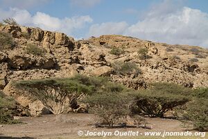 Tadjoura region - Djibouti