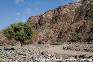 Tadjoura-Randa road - Djibouti