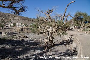 Tadjoura-Randa road - Djibouti