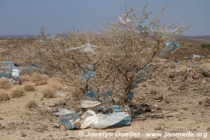 Route Dikhil-Galafi - Djibouti