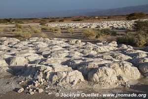 Route Dikhil-Galafi - Djibouti