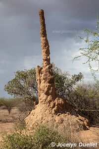 Ethiopia