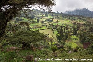 Dorzé et Chencha - Éthiopie