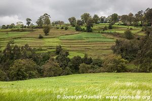 Dorzé et Chencha - Éthiopie
