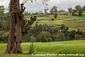 Dorze and Chencha - Ethiopia